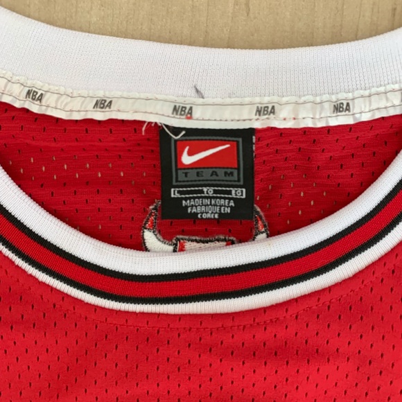 AUTHENTIC Chicago Bulls Scottie Pippen Nike Jersey - Picture 5 of 8